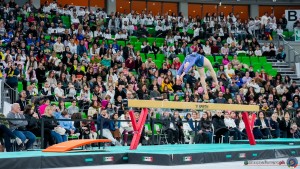 grand prix della ginnastica 0440 sfe08540 copia simone ferraro ph